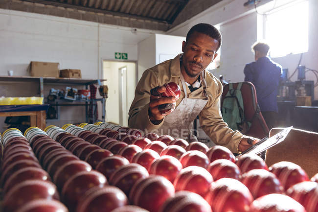 Vue de face d'un jeune Afro-Américain assis à côté de rangées de balles de cricket au bout de la chaîne de production dans une usine d'équipements sportifs. Il tient une balle de cricket rouge et l'inspecte de près.
. — Photo de stock
