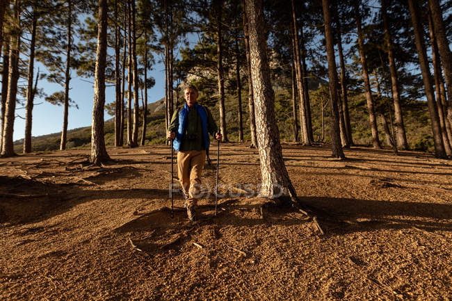 Vista frontal de un hombre caucásico maduro usando bastones nórdicos caminando a través de un bosque durante una caminata . - foto de stock