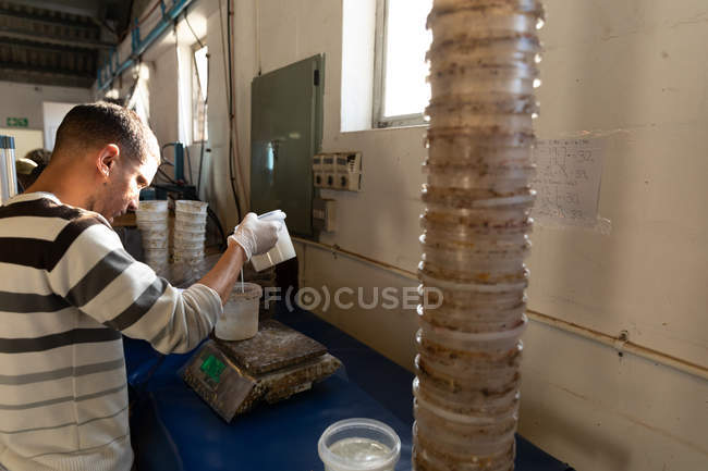 Side view of a young Caucasian man using scales and preparing a mixture in a workshop at a factory making cricket balls. — Stock Photo