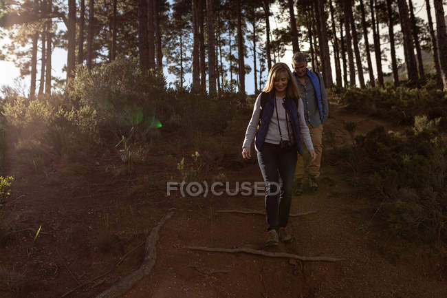 Vista frontal de una mujer caucásica madura y un hombre con mochilas caminando a lo largo de un sendero forestal durante una caminata, retroiluminado por la luz del sol - foto de stock