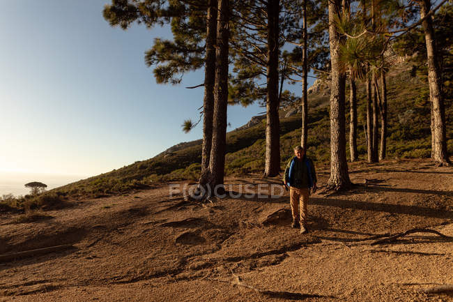 Front view of a mature Caucasian man walking out of a forest during a hike — Stock Photo