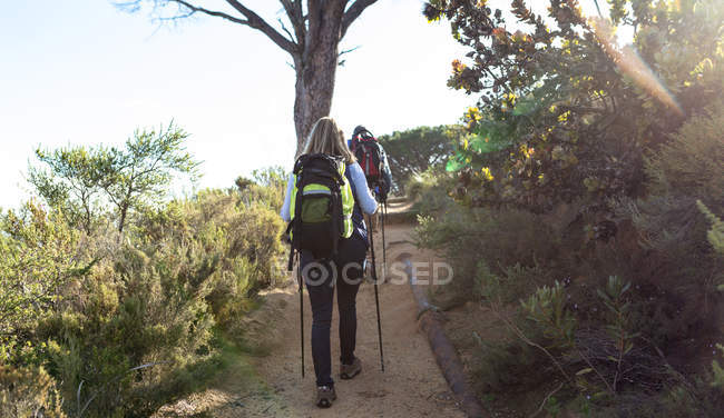Rear view of a mature Caucasian woman and man wearing backpacks and using Nordic walking sticks walking single file along a trail during a hike — Stock Photo