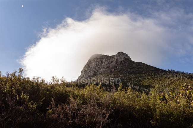 Vista panoramica di una cima di montagna e una nuvola bianca contro un cielo blu sopra le cime degli alberi — Foto stock