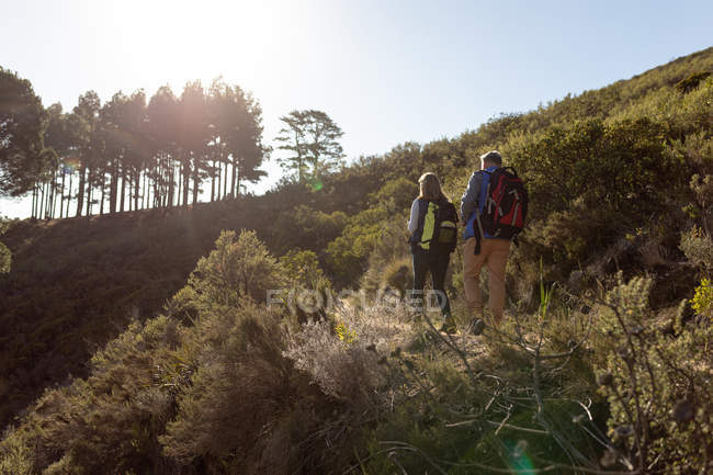 Back view of a mature Caucasian woman and man wearing backpacks walking together during a hike — Stock Photo