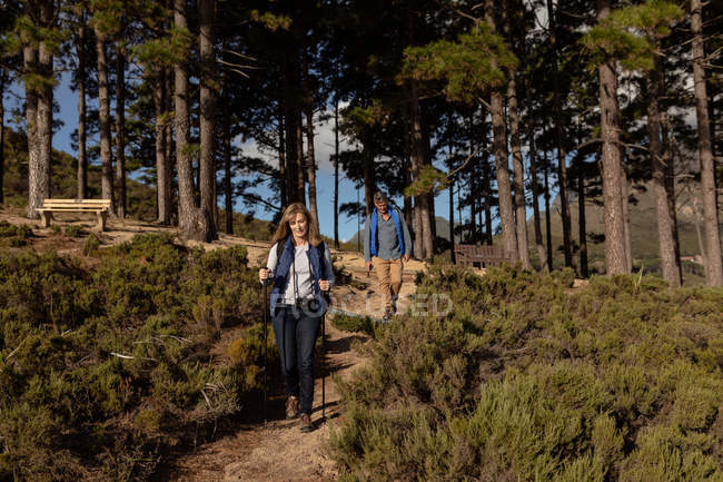 Vista frontal de uma mulher caucasiana madura usando bengalas nórdicas, andando à frente de um homem caucasiano maduro em uma trilha florestal — Fotografia de Stock
