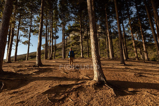 Vista frontal de un hombre caucásico maduro usando bastones nórdicos caminando a través de un bosque durante - foto de stock
