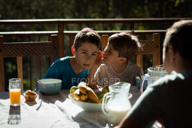 Front view close up of two pre teen Caucasian boys sitting at a table enjoying a family breakfast in a garden — стокове фото