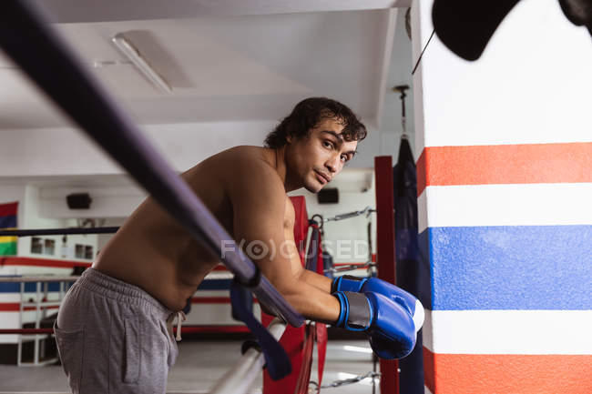 Retrato de un joven boxeador mestizo apoyado en una cuerda de un anillo de boxeo - foto de stock