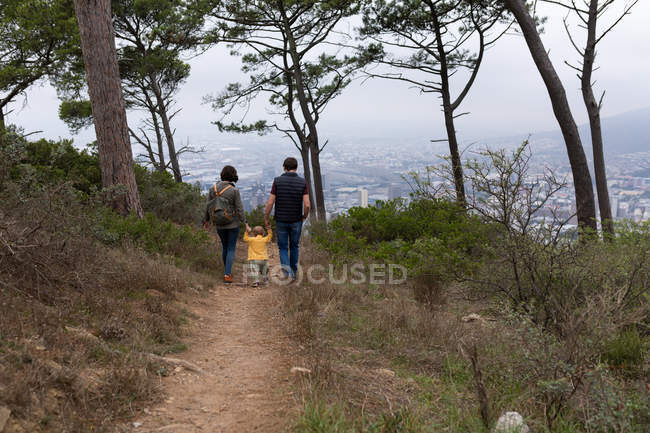 Задний вид на молодого кавказского отца и мать, держащихся за руки с ребенком и гуляющих в парке — стоковое фото