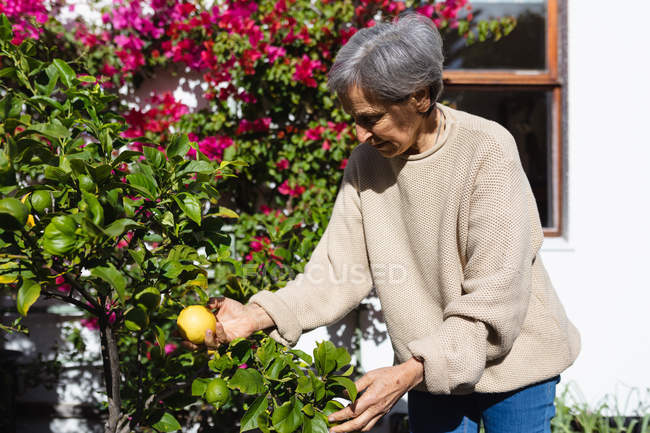 Side view of a senior Caucasian woman in a garden — Stock Photo