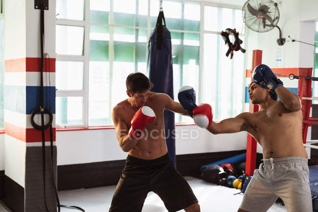 Вид сбоку на молодого кавказца и молодых боксеров смешанной расы, спаррингующих в боксерском зале — стоковое фото