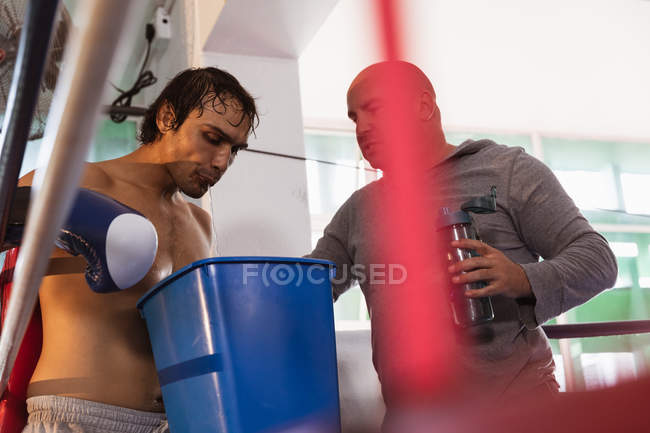 Vista lateral de cerca de un joven boxeador masculino de raza mixta en un ring de boxeo escupiendo a un cubo sostenido por un entrenador masculino caucásico de mediana edad - foto de stock