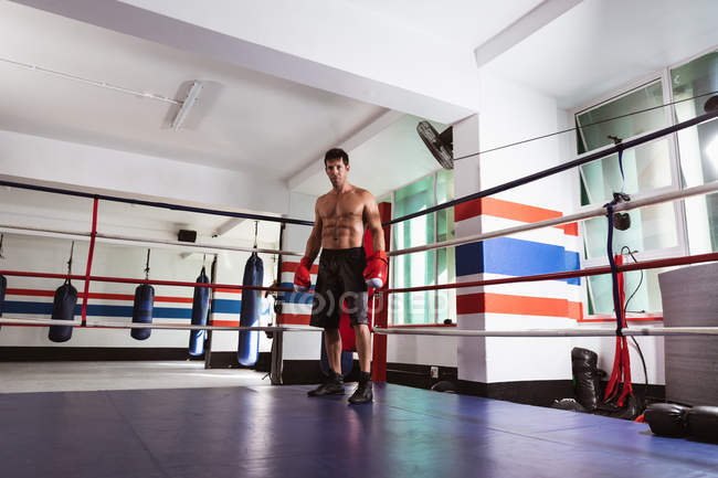 Portrait of a young Caucasian male boxer standing in a boxing ring before a fight — Stock Photo