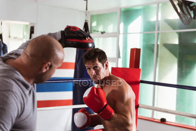 Vista frontal de cerca de un joven boxeador caucásico en un ring de boxeo escuchando a un entrenador caucásico de mediana edad - foto de stock