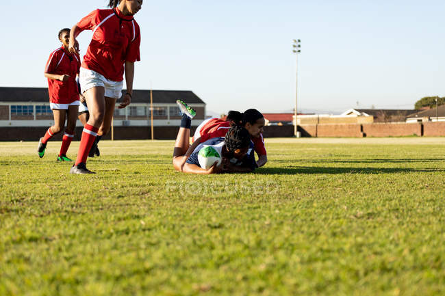 Вид спереду на групу молодих дорослих багатоетнічних гравців регбі під час матчу, два гравці бігають і один з м'ячем, висунутим на землю іншим гравцем — стокове фото