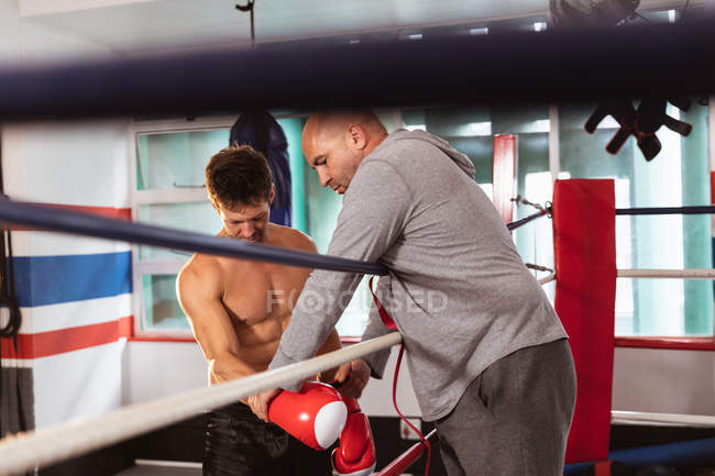Side view close up of a young Caucasian male boxer by a boxing ring having his boxing gloves checked by a middle aged Caucasian male trainer — Stock Photo