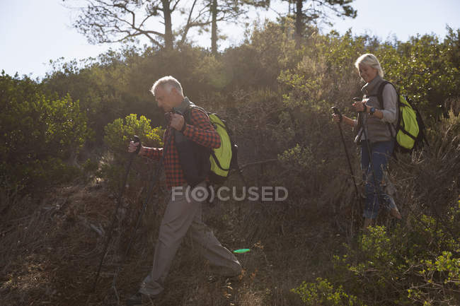 Side view of a mature Caucasian man and woman nordic walking in a rural setting — Stock Photo