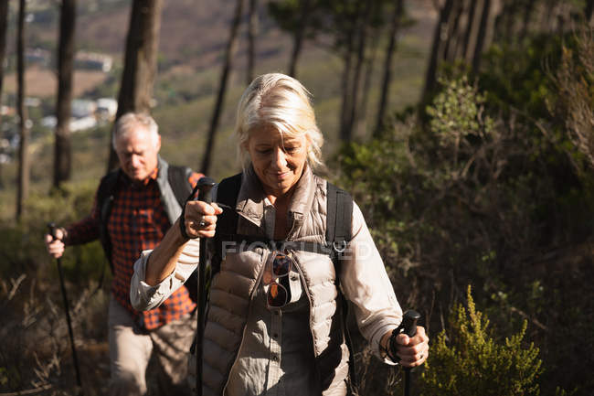 Передній погляд на зрілого кавказького чоловіка з жінкою Нордінг, що гуляють лісом. — стокове фото