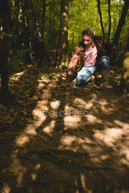 Зрелый мужчина осматривает корень дерева в лесу — стоковое фото