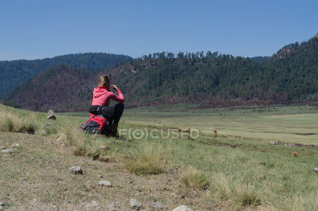 Visão traseira do caminhante feminino sentado na rocha no campo contra o céu limpo — Fotografia de Stock