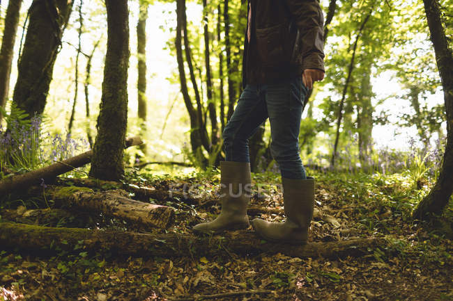 Sección baja del hombre de pie en el bosque - foto de stock