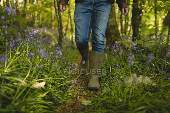 Baixa seção de homem caminhando no campo na floresta em um dia ensolarado — Fotografia de Stock