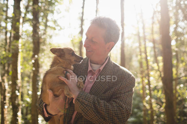 Hombre sonriente jugando con el perro en el bosque en un día soleado - foto de stock