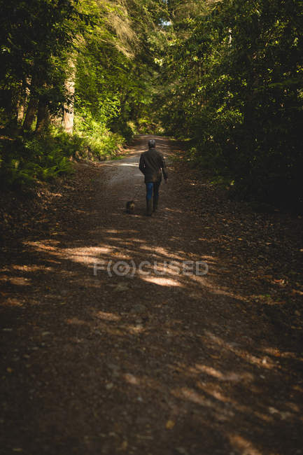 Вид ззаду чоловіка, що йде зі своєю собакою у лісі — стокове фото