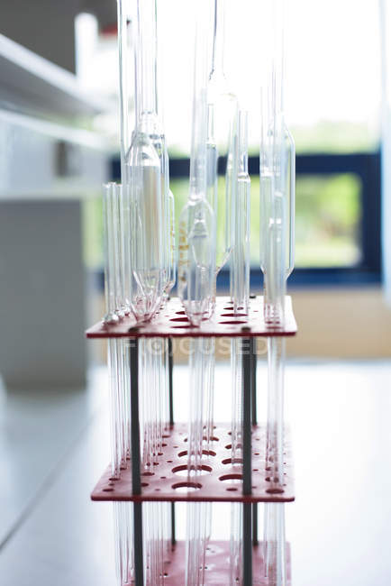 Gros plan des pipettes dans le support en plastique sur la table du laboratoire — Photo de stock