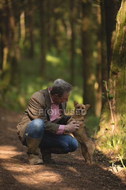 Hombre maduro con su perro mascota en el bosque - foto de stock