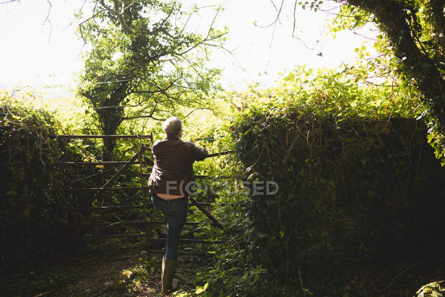 Вид сзади на вдумчивого человека, стоящего в лесу — стоковое фото