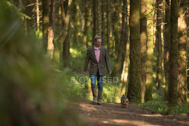 Homem maduro andando com seu cão de estimação na floresta — Fotografia de Stock