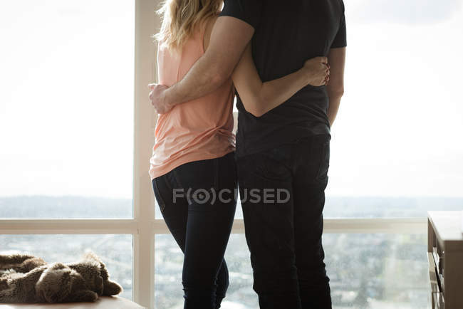 Visão traseira do casal abraçando uns aos outros na sala de estar em casa — Fotografia de Stock
