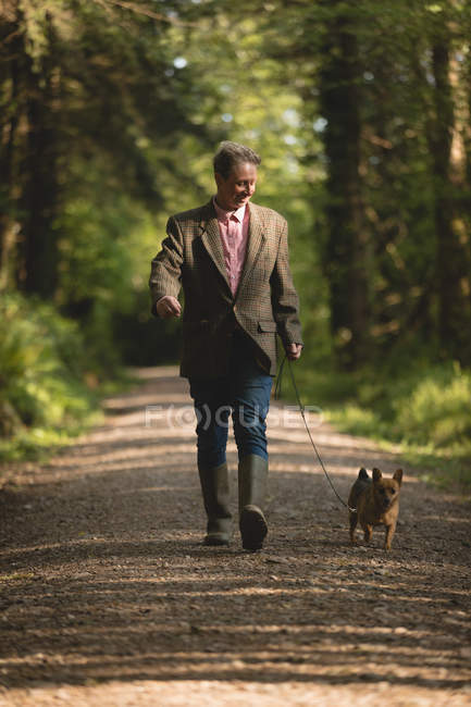 Homme mûr marchant avec son chien de compagnie en forêt — Photo de stock