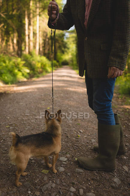 Homem segurando cão na floresta em um dia ensolarado — Fotografia de Stock