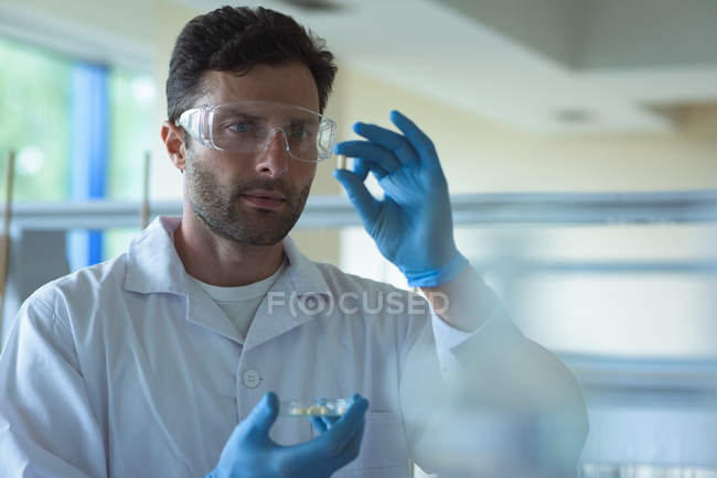Estudiante universitario atento haciendo un experimento en laboratorio - foto de stock