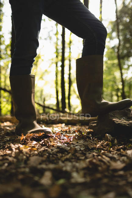 Baixa secção de homem em pé na floresta — Fotografia de Stock