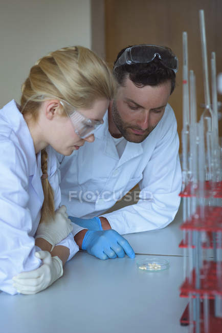 Étudiants universitaires attentifs faisant une expérience en laboratoire — Photo de stock