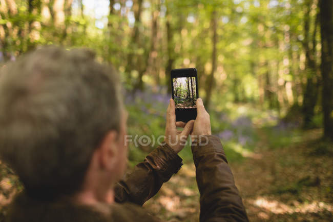 Чоловік натискає фотографії з мобільного телефону в лісі — стокове фото