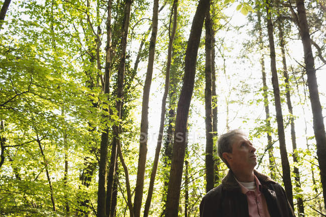 Homme mûr réfléchi debout dans la forêt — Photo de stock