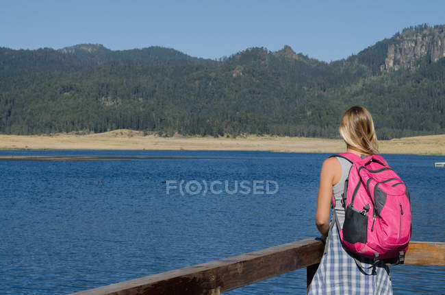 Вид сзади на женщину-туристку с рюкзаком, стоящую у перила на пирсе — стоковое фото