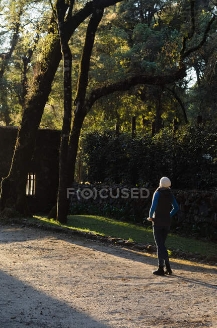 Rückansicht einer Wanderin, die im Wald gegen Gebäude steht — Stockfoto