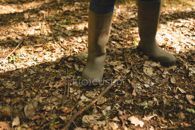 Низький рівень чоловіка, що стоїть у лісі — стокове фото