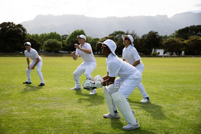 Seitenansicht einer multiethnischen Cricket-Mannschaft, die Weiße trägt, auf einem Cricketplatz steht und während eines Spiels an einem sonnigen Tag auf den Ball wartet. — Stockfoto