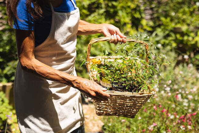 Metà sezione della donna indossa un grembiule, godendo il tempo in un giardino soleggiato, tenendo un cesto con una selezione di piante in esso — Foto stock