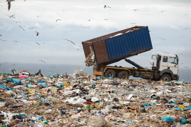 Stormo di uccelli che sorvolano il veicolo lavorando e consegnando spazzatura accumulata su una discarica piena di spazzatura con cielo nuvoloso coperto sullo sfondo. Questione ambientale globale dello smaltimento dei rifiuti. — Foto stock