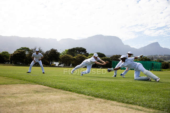 Вид сбоку на юношескую многонациональную команду по крикету в белых тонах, стоящую на поле для крикета, ныряющую за мячом во время матча в солнечный день. — стоковое фото