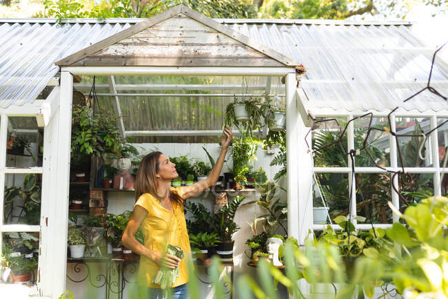 Кавказька жінка з довгим волоссям у сонячному саду, що стоїть у дверях теплиці, торкається листя рослини. — стокове фото
