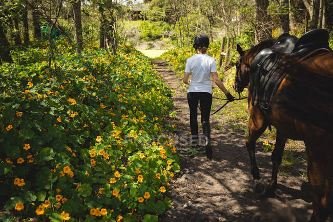 Rückansicht einer lässig gekleideten kaukasischen Reiterin, die an einem sonnigen Tag ein Kastanienpferd auf einem Waldweg führt. — Stockfoto