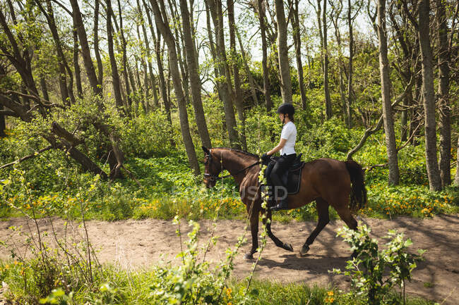 Vista laterale di una cavallerizza caucasica vestita con disinvoltura che hackera un cavallo di castagno su un sentiero attraverso una foresta in una giornata di sole. — Foto stock